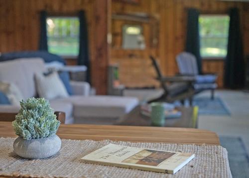 a coffee table with a cactus on top of it at St Lawrence River Retreat in Ogdensburg