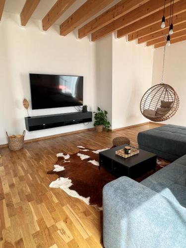 TV a/nebo společenská místnost v ubytování Holiday house DOMa Nová Lesná