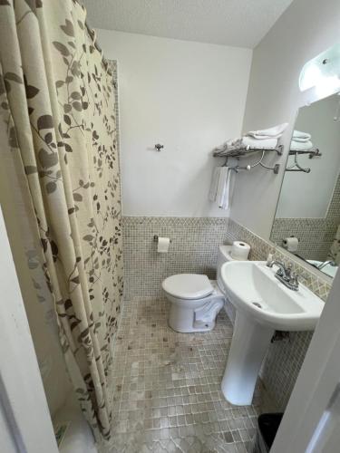 La salle de bains est pourvue de toilettes et d'un lavabo. dans l'établissement Liberty Motel, à Liberty