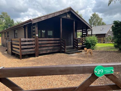a wooden cabin with a dog standing in front of it at Cheerful 3-bedroom cabin with hot tub in King's Lynn