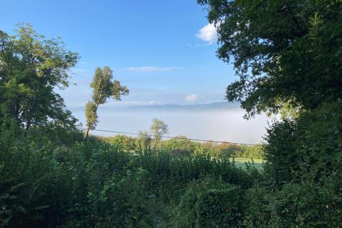 - une vue sur l'océan à travers les arbres dans l'établissement La Belle Vue - Coin de paradis, à Sussac