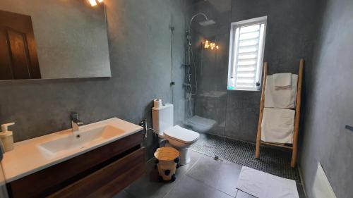 ein Bad mit einem Waschbecken, einem WC und einer Dusche in der Unterkunft Villa Cactus in Ben Larbi