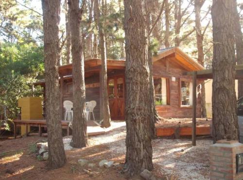 una cabaña de madera en el bosque con árboles en Cabana El Deseo Al Bosque en Balneario Mar Blau