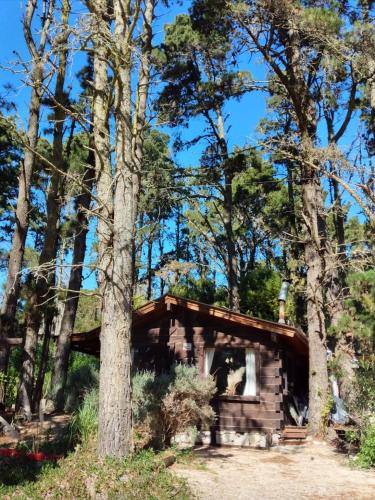 Cabaña El Deseo En El Bosque