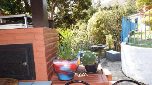 a group of potted plants sitting on a patio at Casa Agradável com piscina. in Miguel Pereira