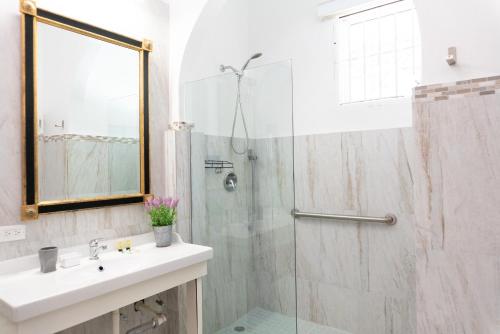 y baño con ducha, lavabo y espejo. en Casa Isabel B&B en San Juan