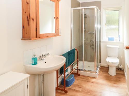 ein Bad mit einem Waschbecken und einer Dusche in der Unterkunft Millennium Cottage in Alnwick