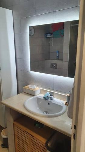 a bathroom with a sink and a mirror at U Are We R St Martin Studio Cosy Marigot, Wi-Fi ,Piscine in Marigot