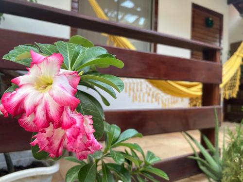 a pink flower in front of a wooden bench at Villa Éden in Alter do Chao
