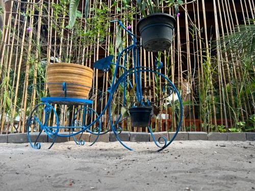 a blue bike with a basket next to a fence at Villa Éden in Alter do Chao