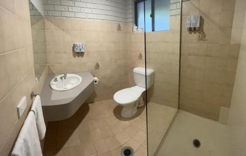 y baño con aseo, lavabo y ducha. en Woomargama Motel, en Woomargama