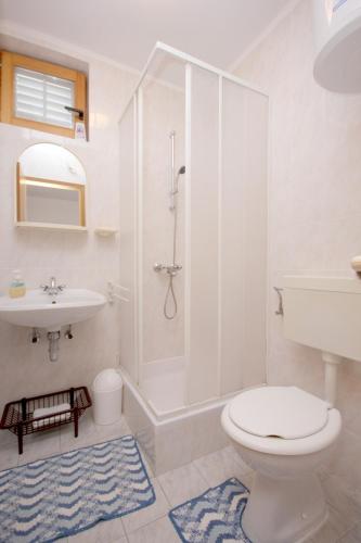 a bathroom with a shower and a toilet and a sink at Apartment Vis 2470b in Vis