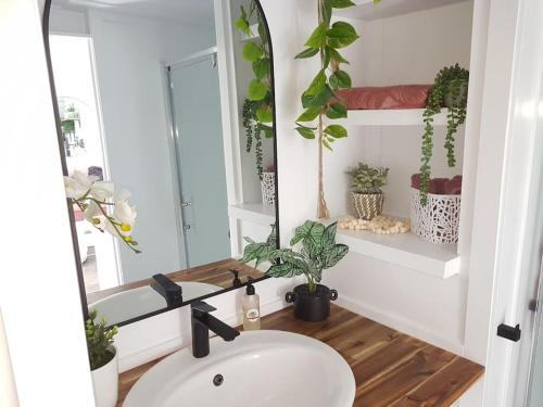 a bathroom with a sink and a mirror and plants at Rustling Oaks NZ Tropical Tiny House in Tamahere