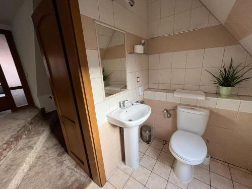 La salle de bains est pourvue de toilettes et d'un lavabo. dans l'établissement Maria Penzion & Restaurant, à Trenčín
