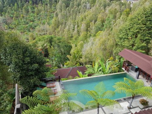 una vista aérea de una piscina con una montaña en BINTANG MUNDUK en Munduk