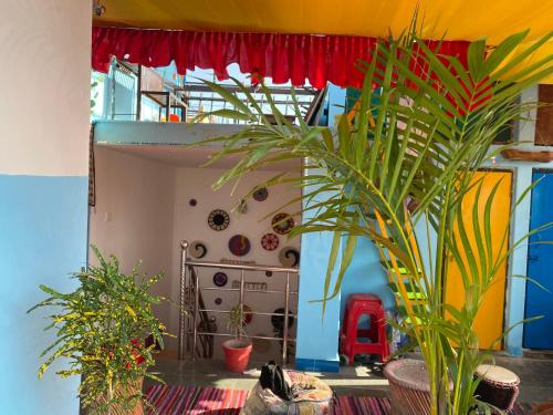 a room with lots of plants in it at Blue Eye Hostel in Jaisalmer