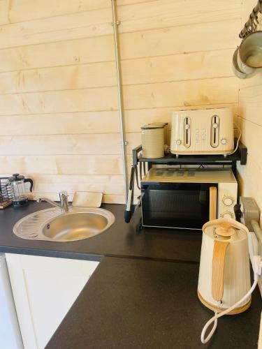 a kitchen with a sink and a microwave at The Gallows in Pembroke
