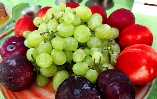 a plate of grapes and apples on a table at Hotel Senza Pensieri Riccione in Riccione