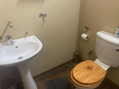 a bathroom with a sink and a toilet with a wooden seat at Eastwoods Lodge in Springs