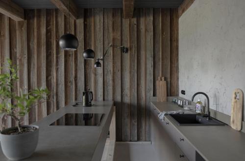 a bathroom with two sinks and a potted plant at Tilia authentic home, butikowe apartamenty nad morzem in Nickelswalde