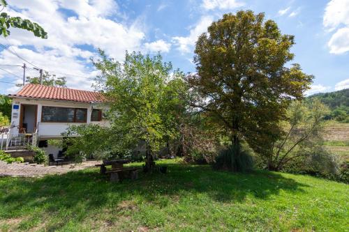 a house with a picnic table and a tree at Apartments with a parking space Buzet, Central Istria - Sredisnja Istra - 17333 in Buzet