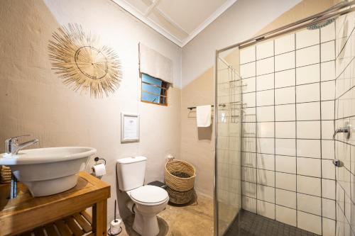 a bathroom with a toilet and a sink and a shower at Fever Tree Guesthouse in Hillcrest