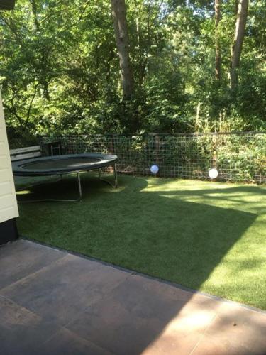 a yard with a picnic table and a ping at Chalet Hoenderloo in Hoenderloo