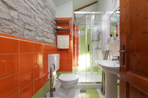 a bathroom with a toilet and a sink at Villa Janko in Sveti Lovreč Pazenatički