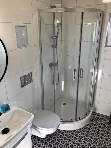 a bathroom with a shower and a toilet and a sink at Penzion Na Americe in Nové Jirny