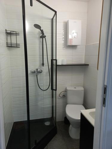 La salle de bains est pourvue d'une douche, de toilettes et d'un lavabo. dans l'établissement Dom Zegarmistrza, à Mirosławiec