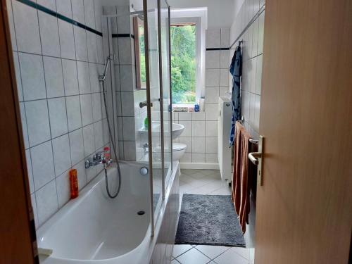 Koupelna v ubytování Ferienwohnungen Zauberberg, Schneehase & Glitzerhirsch