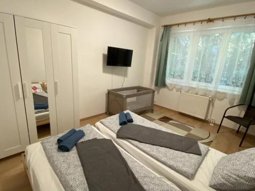 a bedroom with two beds and a television in it at Fűzfőfürdői Szálláshely Balatonfűzfő in Balatonfůzfő