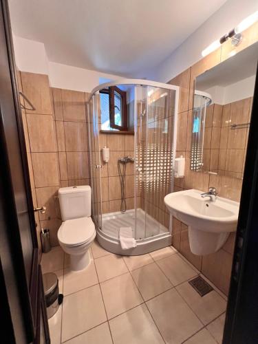 a bathroom with a toilet and a shower and a sink at Pensiunea EDEN in Crisan