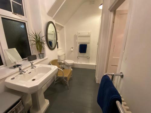 een badkamer met een wastafel, een toilet en een spiegel bij Lauderdale lodge barnstaple in Barnstaple