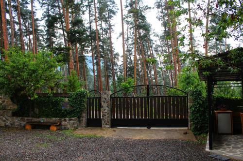 a gate in front of a forest of tall trees at Guest House on Meskheti in Borjomi