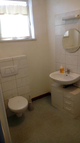 uma casa de banho com um WC e um lavatório em Ältere FeWo am Uferpark em Friedrichshafen