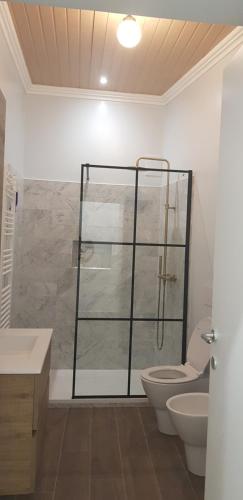 a bathroom with a shower with a toilet and a sink at Casa Rosamari - su Lago di Posta Fibreno, Appartamento con camino in Posta Fibreno