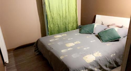 ein Schlafzimmer mit einem Bett mit einem grünen Vorhang in der Unterkunft Chambre et salle de bain privée dans maison proche Paris et Disney in Valenton