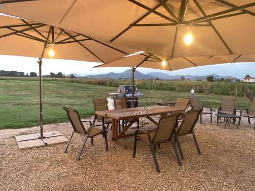 une table et des chaises avec des parasols dans un champ dans l'établissement Ca' Vascon Alloggio Agrituristico, à Villa Estense