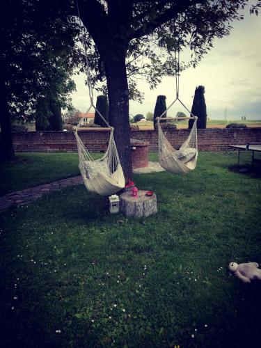 two hammocks hanging from a tree in a yard at Casolare Isabella "Il rifugio dei vinili" and Alice's room in Ponsacco
