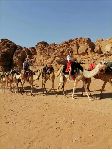 a group of people riding on camels in the desert at Rum Aranda camp & Jeep Tour in Wadi Rum