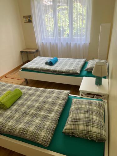 a bedroom with two beds and a window at Casa Silvia in Gordevio