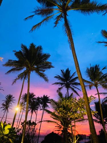 a group of palm trees in front of a sunset at Singhe House in Dickwella