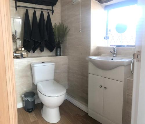 a bathroom with a white toilet and a sink at Daisy Cottage in Wakefield