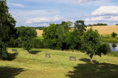 three benches in a field with trees and a river at Gutshauszimmer Neu Gaarz in Neu Gaarz