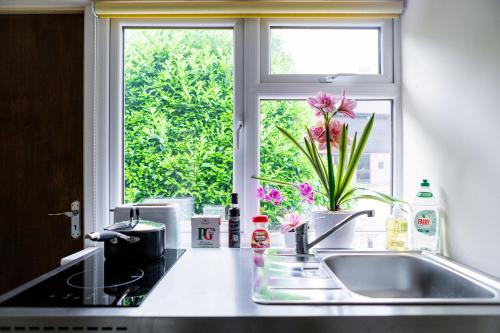 a kitchen counter with a sink and a window at Double Ensuite in Central Forest Row in Forest Row