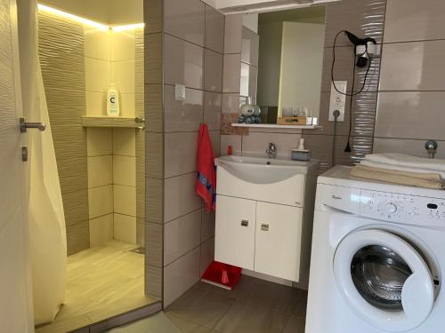 a bathroom with a washing machine and a sink at Piknik Apartmant in Fertőrákos