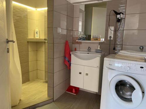 een badkamer met een wasmachine en een wastafel bij Piknik Apartmant in Fertőrákos