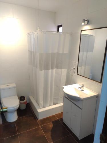 y baño con cortina de ducha, lavabo y aseo. en DepartoCasa1 Premium, en Arica