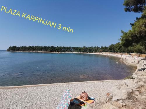 Příroda nedaleko apartmánu
